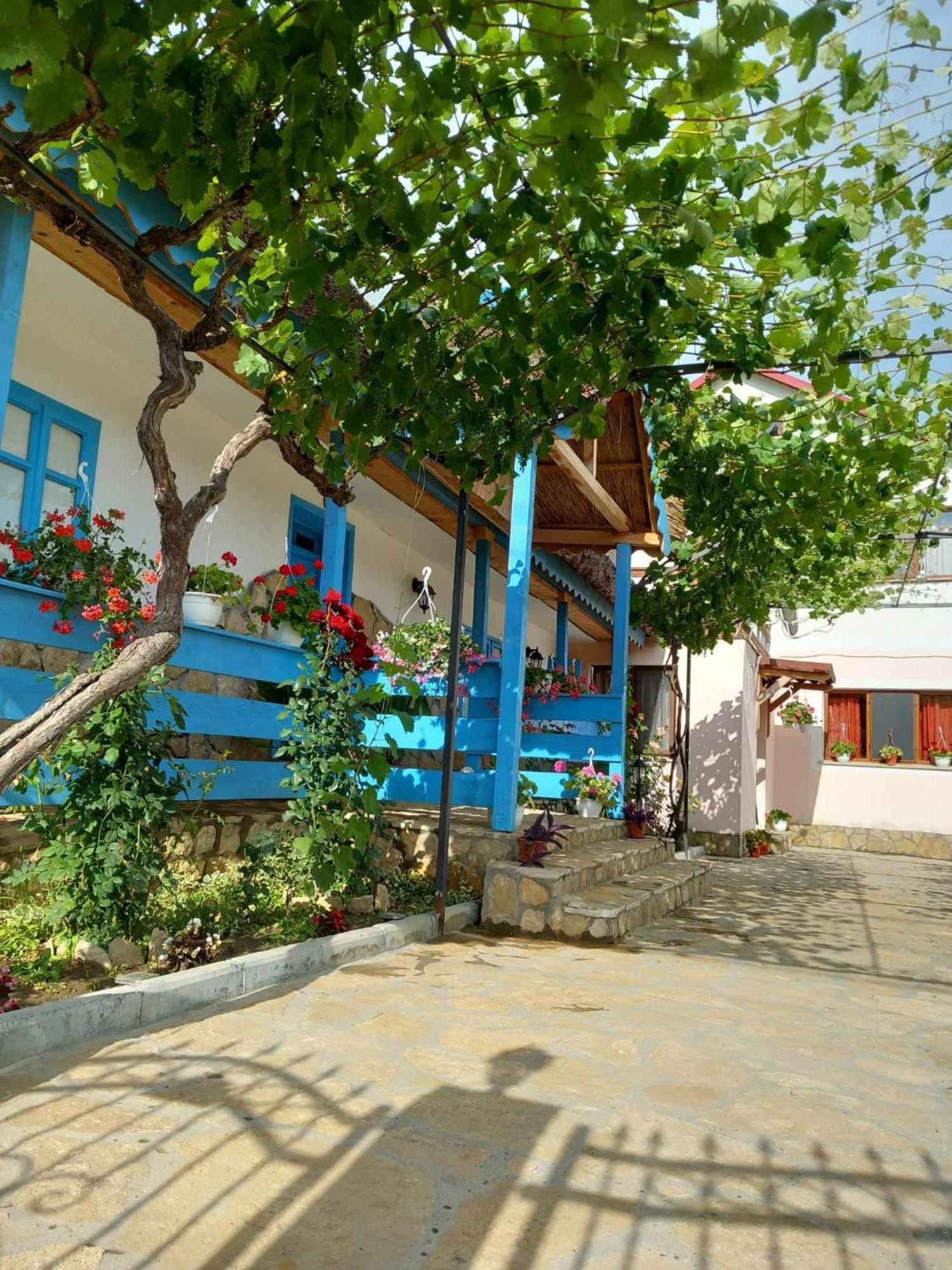 Casa Rasaritul Soarelui Sarichioi Exterior foto