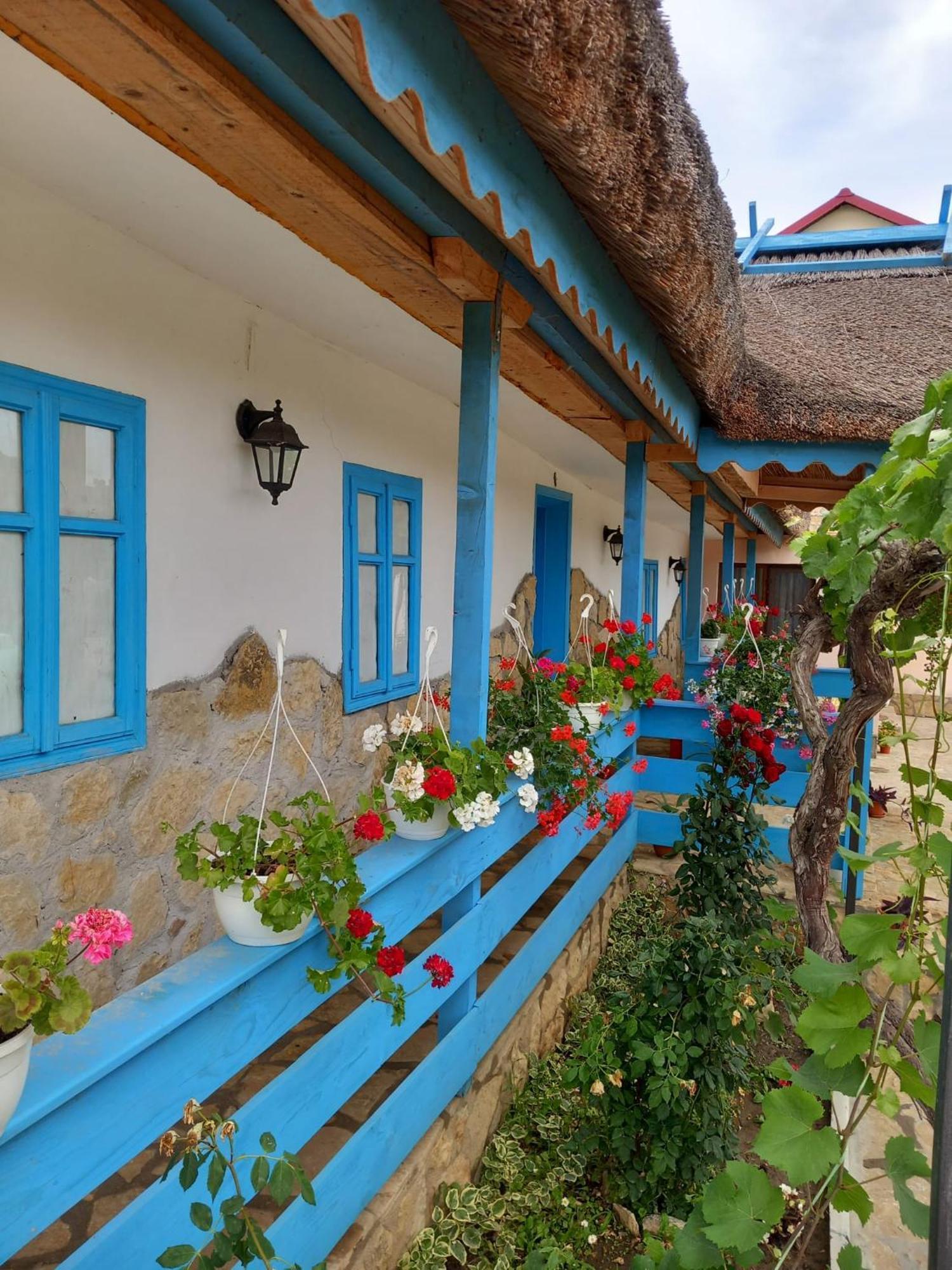 Casa Rasaritul Soarelui Sarichioi Exterior foto
